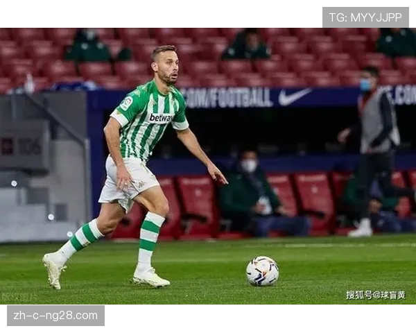 埃尔切降级风险：二十九分距离安全线仅两分差距